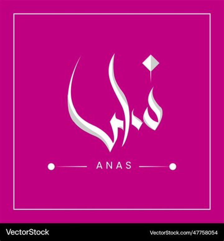 معنى اسم أنس Anas والصفات الشخصية لحامل الاسم