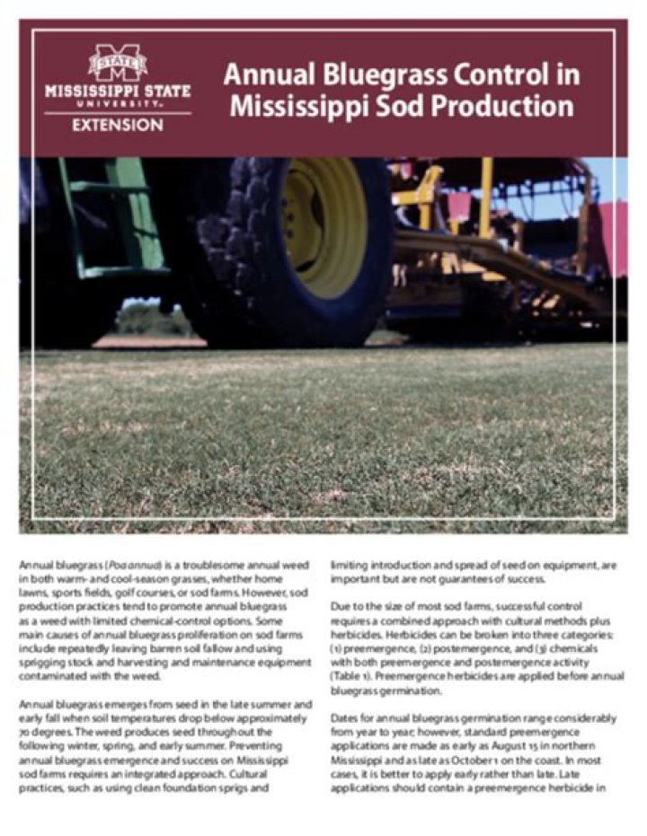 Annual Bluegrass Control in Mississippi Sod Production