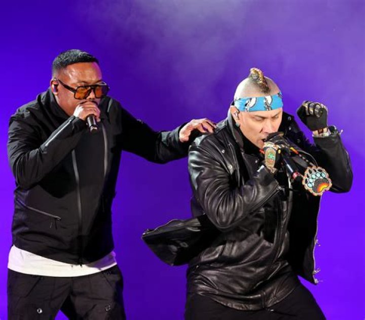apl.de.ap Net Worth  - Pulptastic