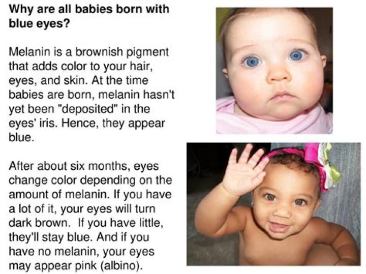 Are All Babies Born with Blue Eyes?