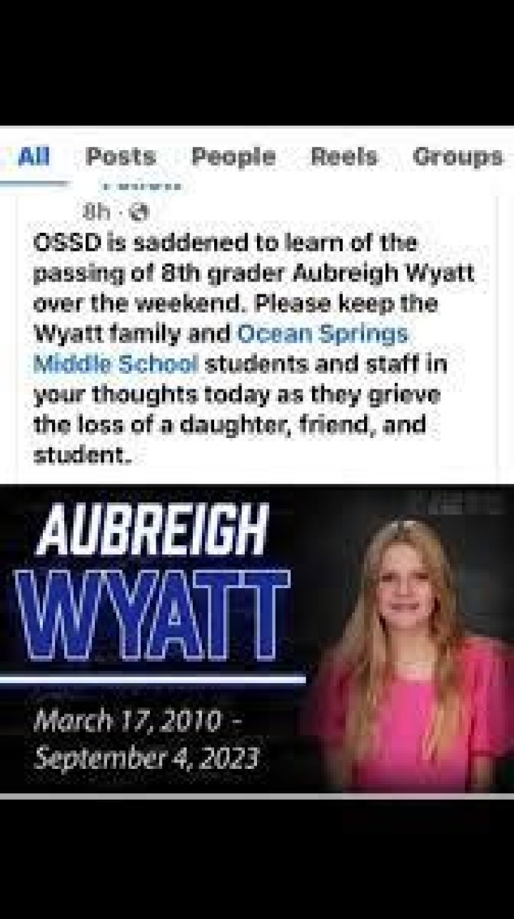 Aubreigh Wyatt Police Report: Understanding The Case And Its Implications