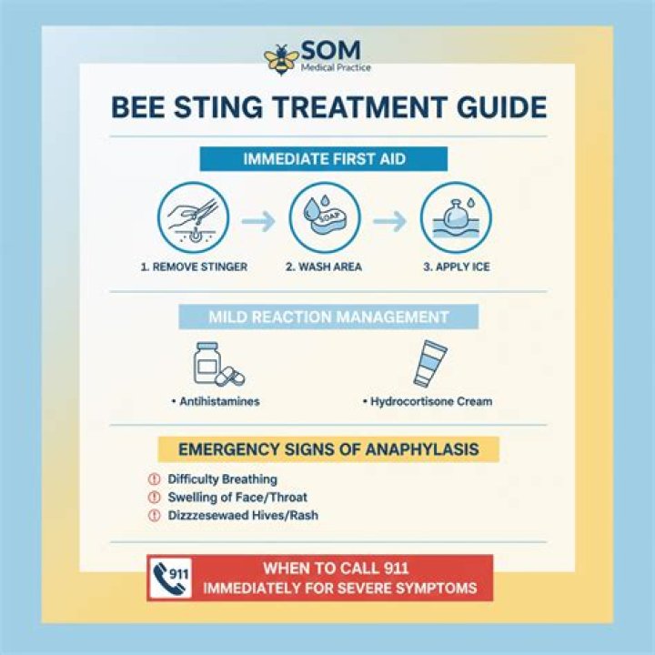 Bee Sting Treatment: What To Do ASAP, According To a Doctor