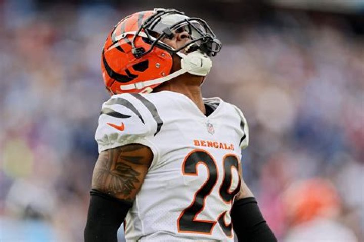 Bengals at Buccaneers spread, line, picks: Expert predictions for Week 15 NFL game