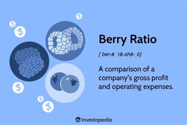 Berry Ratio Definition