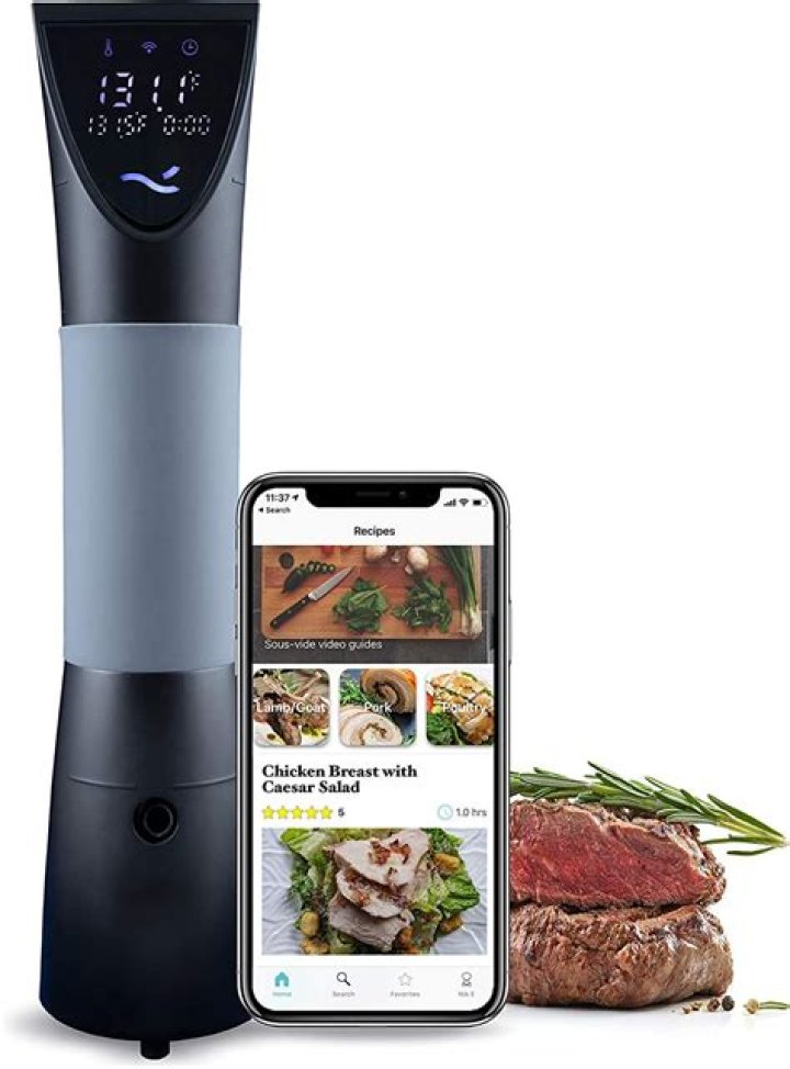 Best Smart Sous Vide 2021