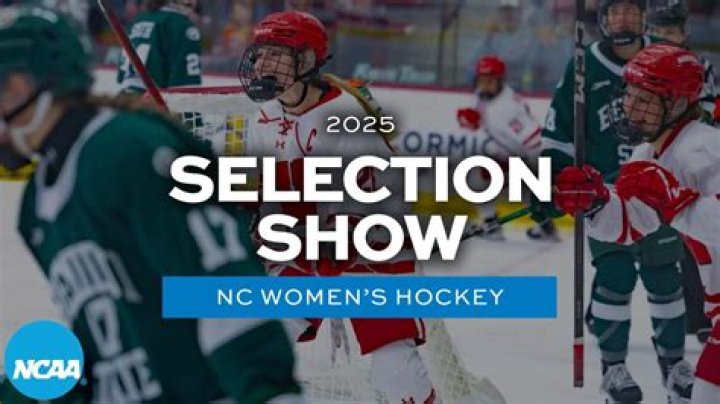 Bethel University - Minnesota Women's Ice Hockey Program Information