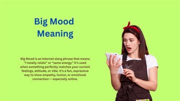 Big Mood Meaning, Origin & Memes