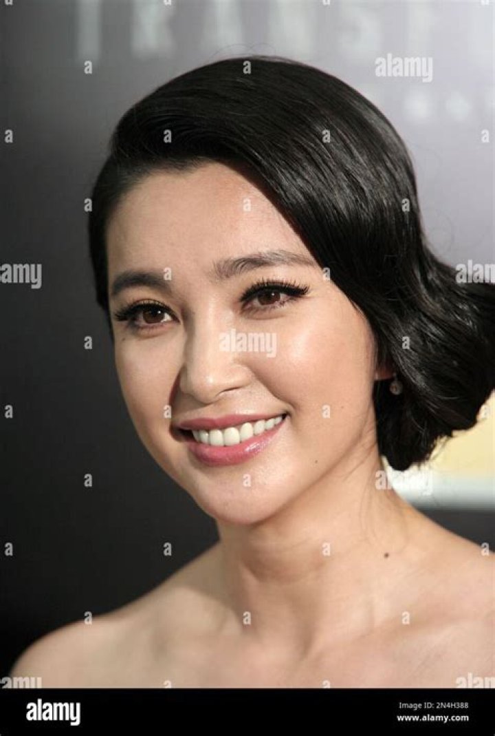 Bingbing Li: A Journey Through Stardom And Influence