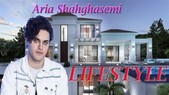 Biography of Aria Shahghasemi