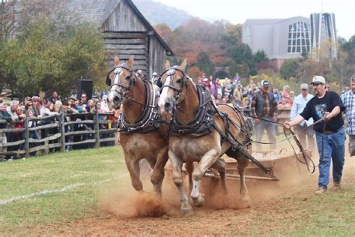 🍁 Blue Ridge Folklife Festival @ Ferrum College