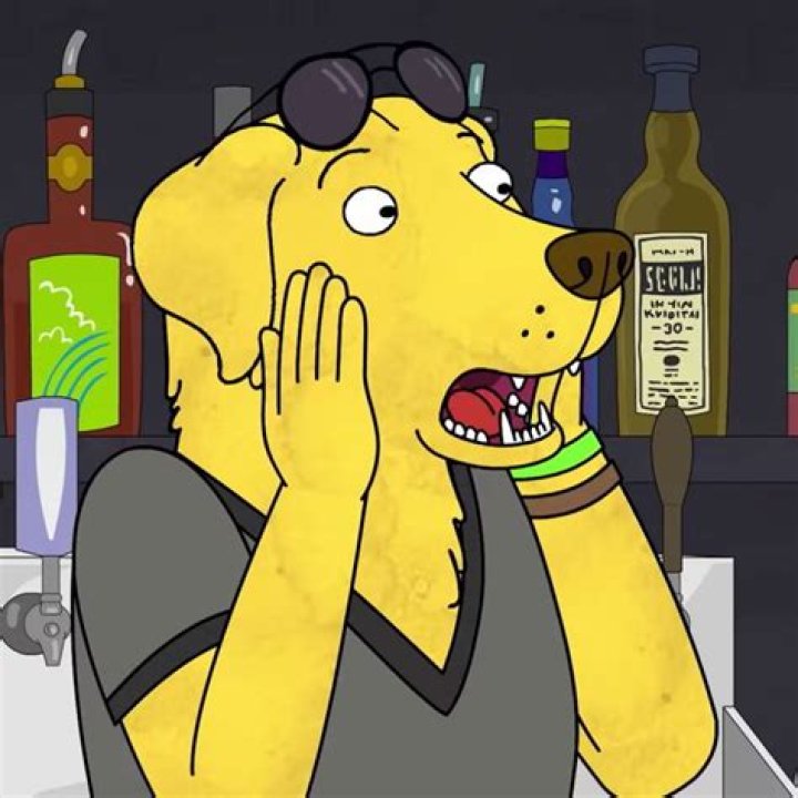 BoJack Horseman Recap: But Is There a Mrs. Peanutbutter?