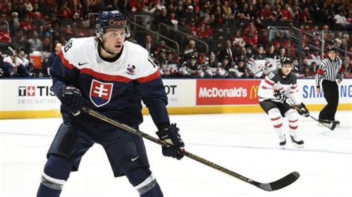 Boris Sadecky, Ice Hockey Player Died At 24 After Collapsing During Game