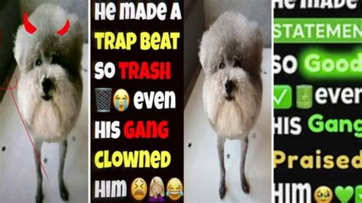 Boy 6 has unique condition that has left him dumb