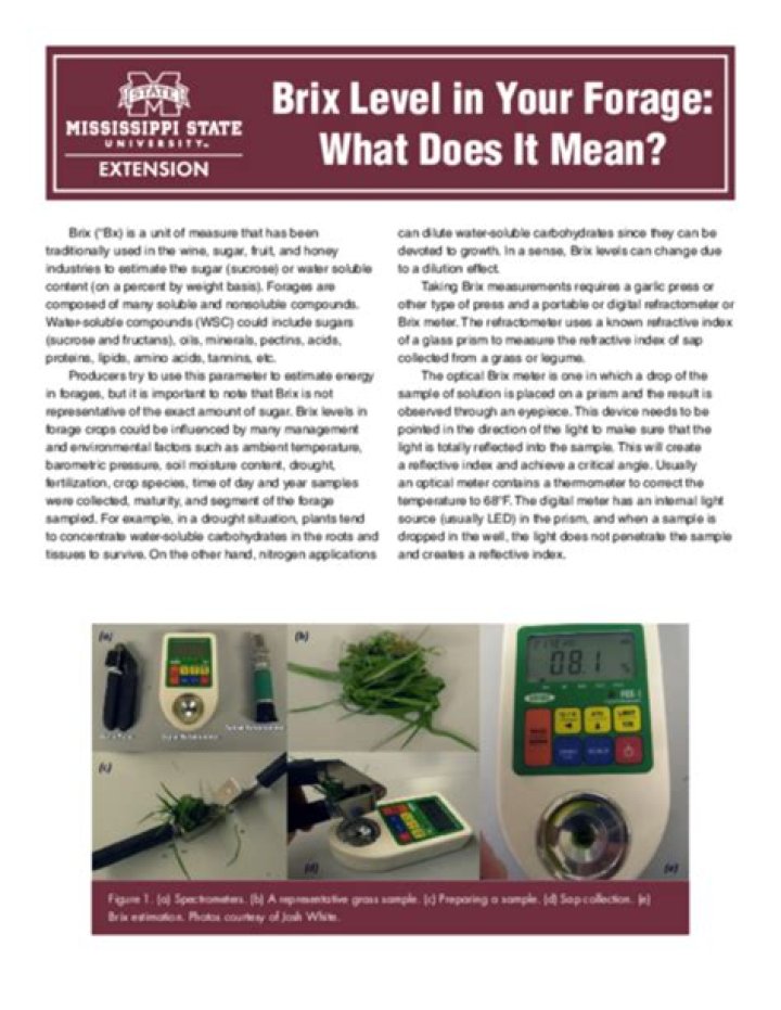 Brix Level in Your Forage: What Does It Mean?