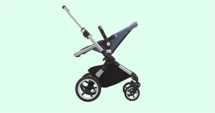 Bugaboo Lynx Stoller Review