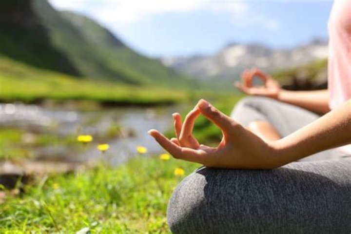 Camino al Equilibrio y la Armonía