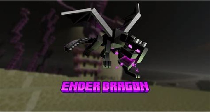 Can the Ender Dragon see invisibility?