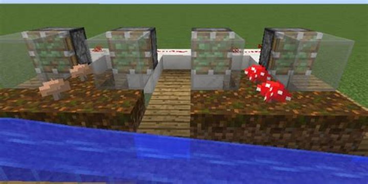 Can you farm brown mushrooms Minecraft?