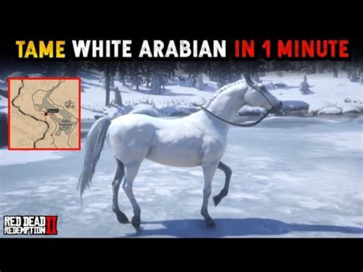 Can you get the white Arabian twice?