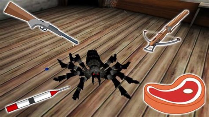Can you shoot the spider in Granny?