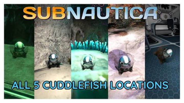 Can you spawn a Cuddlefish egg in Subnautica?