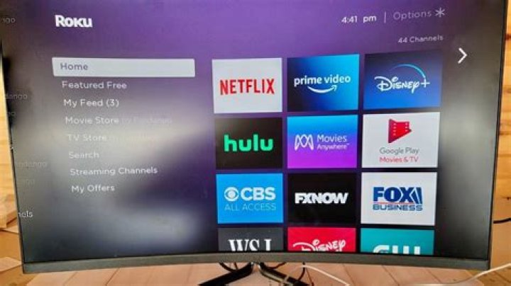 Can you use a Roku with a monitor?