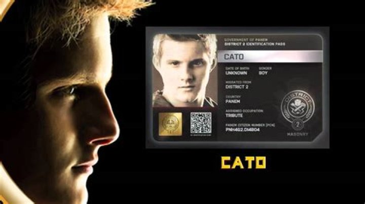 Cato in The Hunger Games Character Analysis