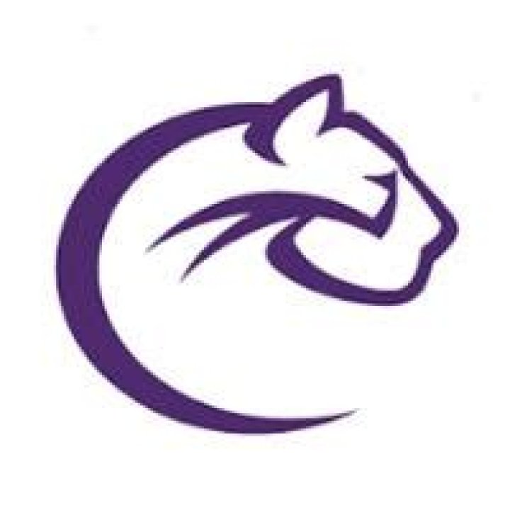 Chatham University Women's Ice Hockey Program Information