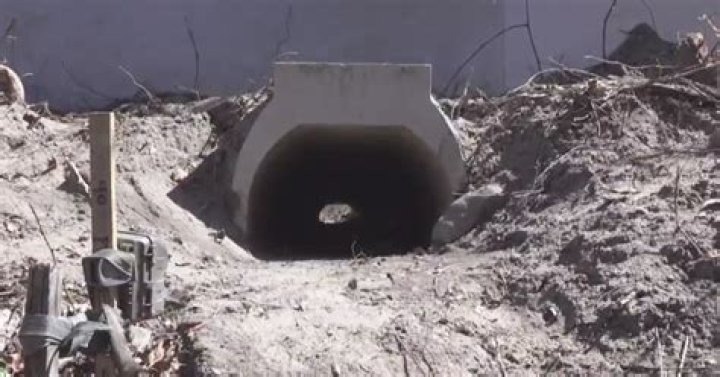 CNN.com - Cash-strapped Germany building $285,200 frog tunnel