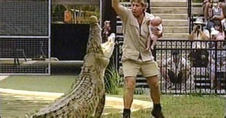 CNN.com - Stingray kills 'Crocodile Hunter'