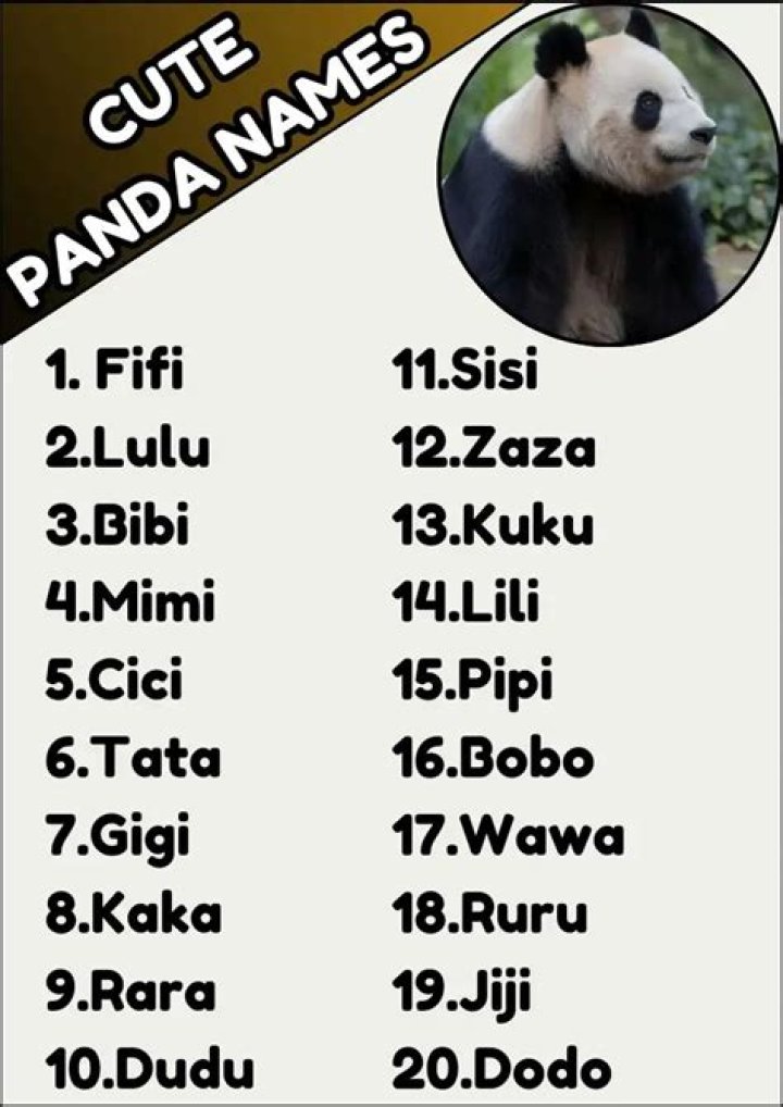 CNN.com - What's in a name? A panda by any other would be as cute
