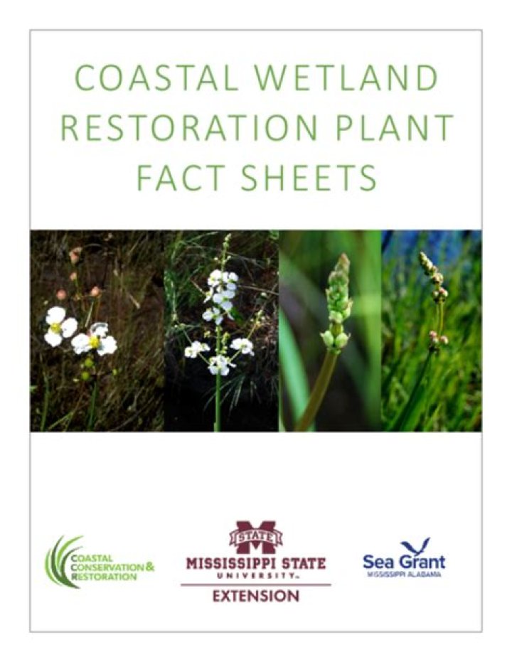 Coastal Wetland Restoration Plant Fact Sheets