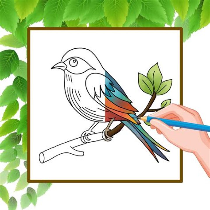 Comment identifier un bébé oiseau ? Guide étape par étape