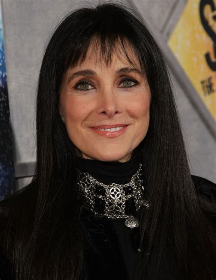Connie Sellecca Net Worth  - Pulptastic