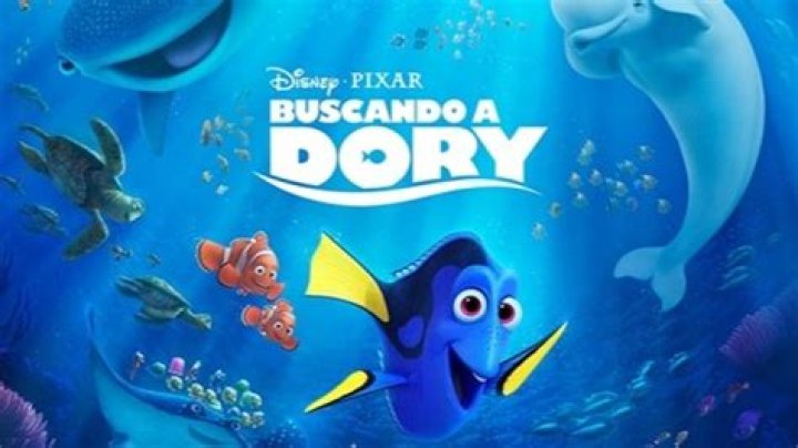 Conociendo a Dory