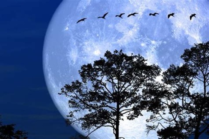 ¿Cuándo es luna llena en marzo 2023? ¿Qué significa luna de gusano?