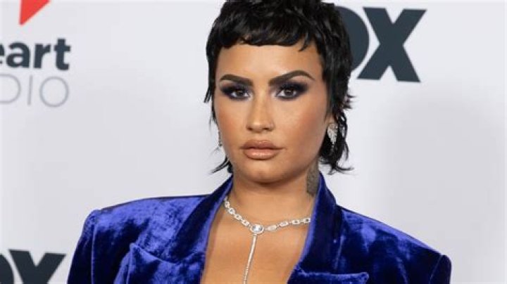 Demi Lovato Revealed That There Could Be a Time When They 
