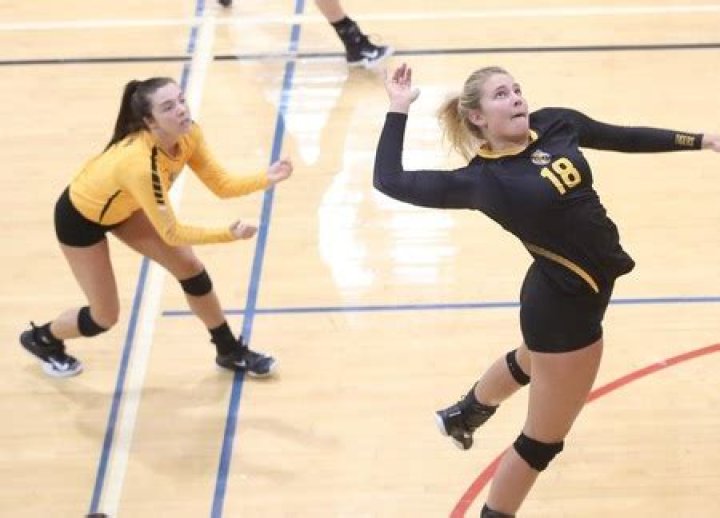 DePauw University Women's Volleyball Program Information