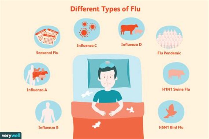 Details About The 3 Different Types Of Flu Viruses This Flu Season