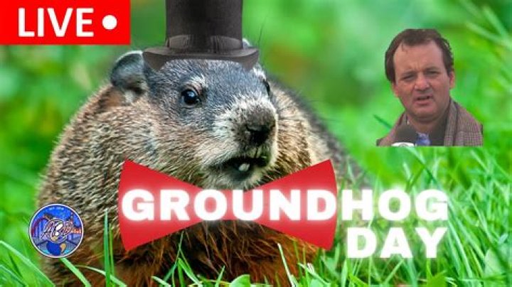 Did Georgia's groundhog see his shadow this year?