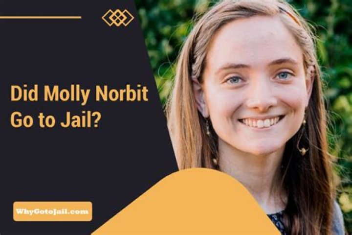 Did Molly Norbit Go To Jail For Bullying? A Comprehensive Investigation