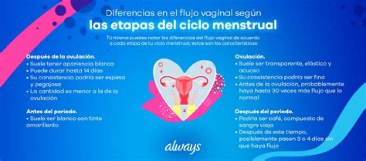 Diferencias entre flujo vaginal y lubricación