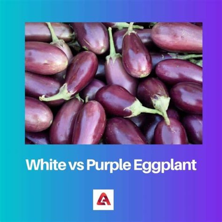 Difference Between White And Purple Eggplant