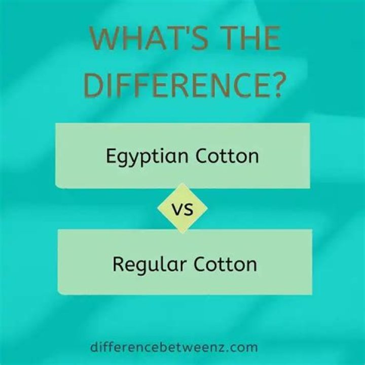 Differences Between Egyptian Cotton And Regular Cotton