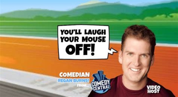 Diving Into the Weird, Sprawling, Infuriating World of Comedy Traffic Schools