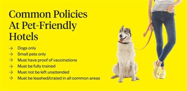 Do Hotels Allow Pets? A Guide to Pet-Friendly Hotel Policies