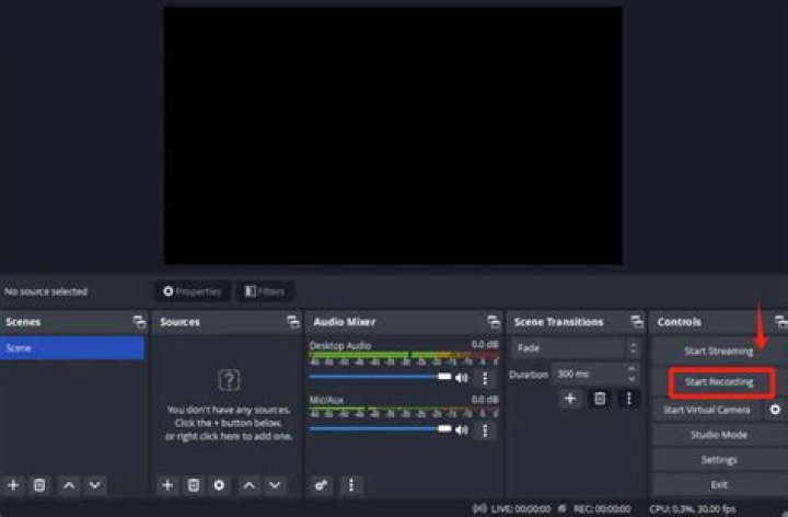 Does Game Capture capture audio?