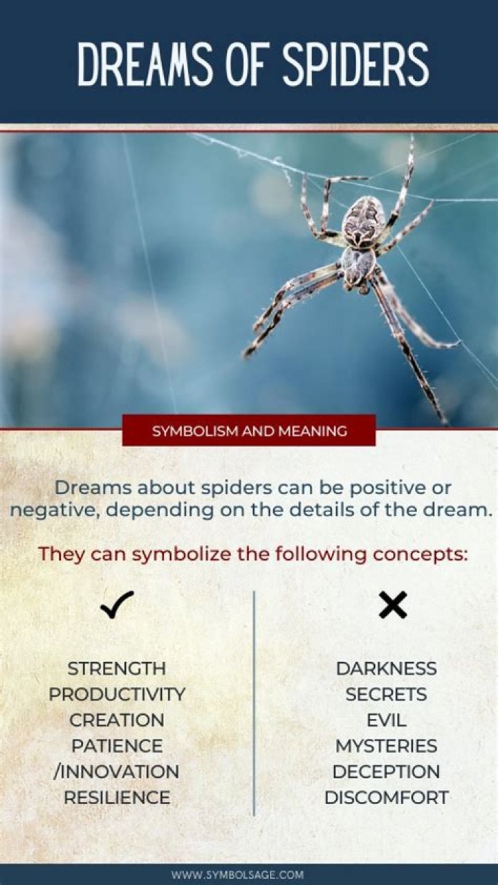 Dreams About Spiders Meaning: 18 Dream Interpretations