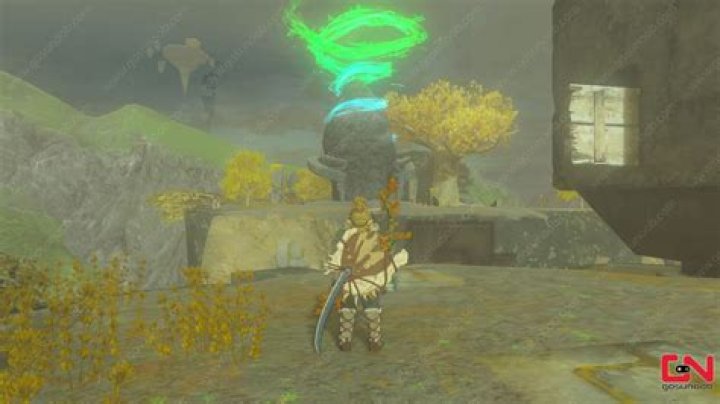 Dyeing to Find It Zelda Tears of the Kingdom