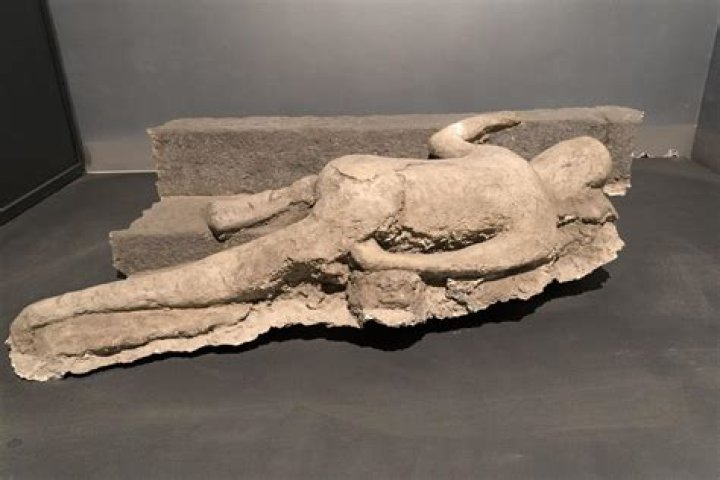 Erotic Pompeii goat statue arrives in the British Museum